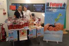 HPE-roma