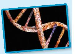 UN FARMACO CONTRO LA ST